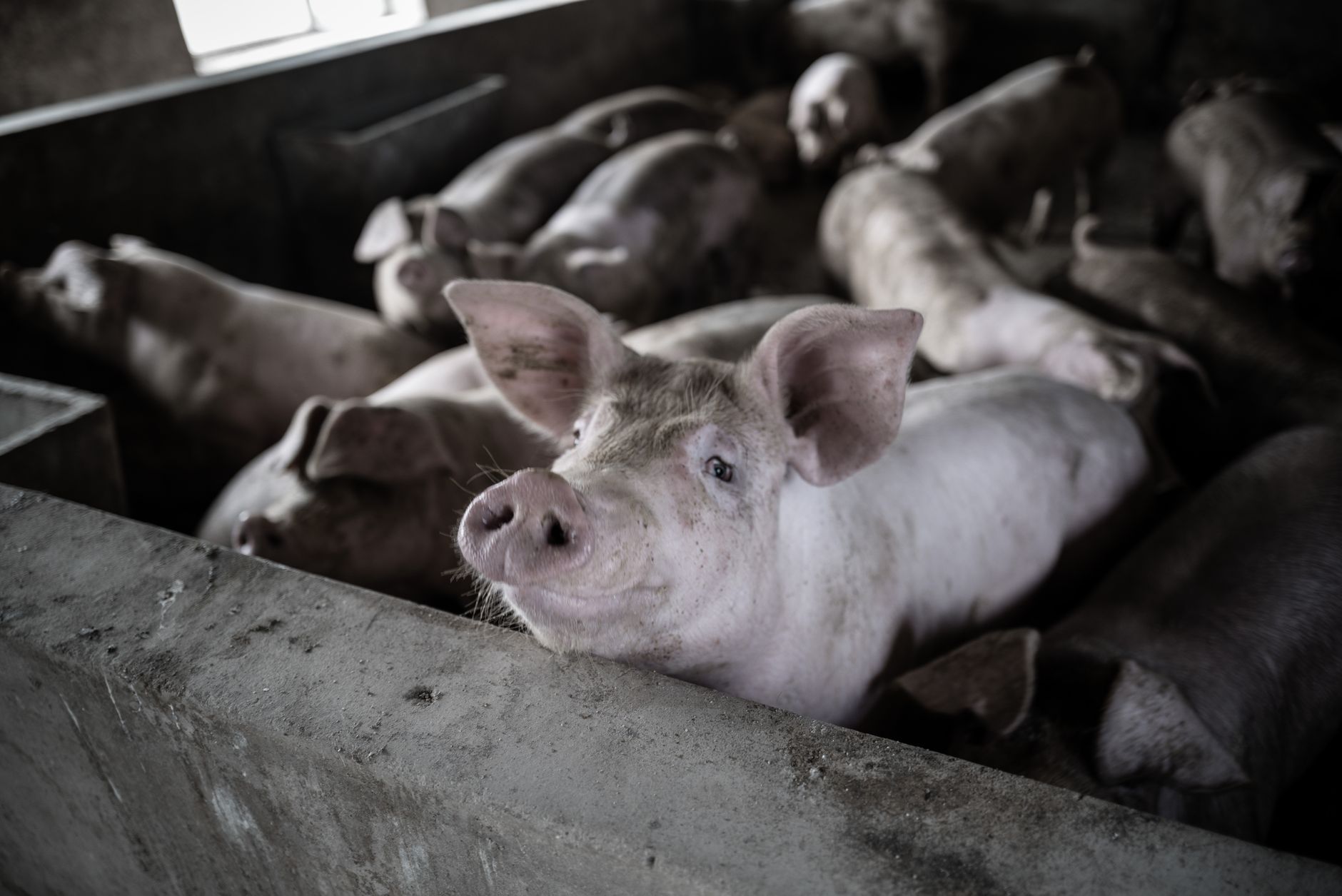 Stap 1 tot 3: van wensinventarisatie naar vergunningscheck