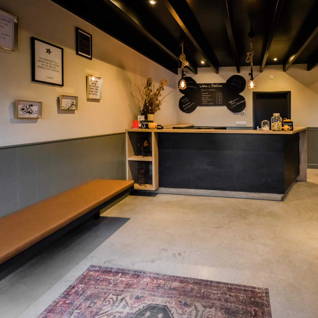 Welke afzuiging past het best bij een maatwerk keuken?